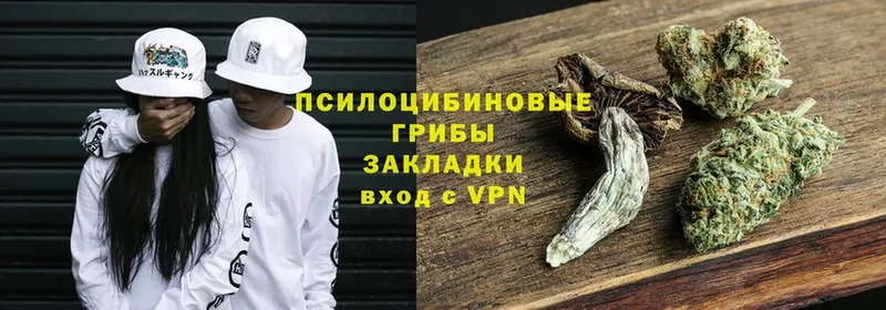 Псилоцибиновые грибы Magic Shrooms  купить  цена  Зеленоградск 